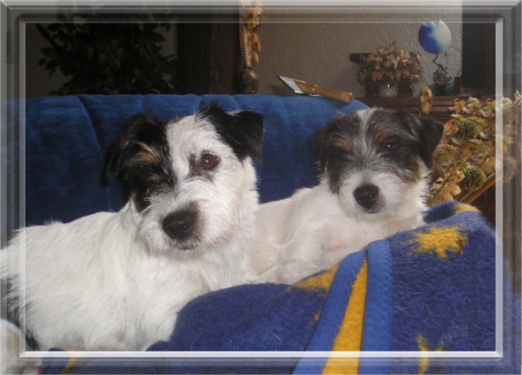 Daisy and son Daniel