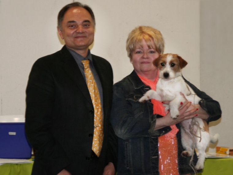 VI CAC/VDH bester Junghund Saarlandsiegerin BOB