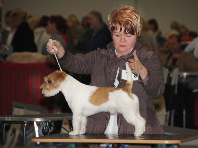 Dortmund Bundessieger 2012