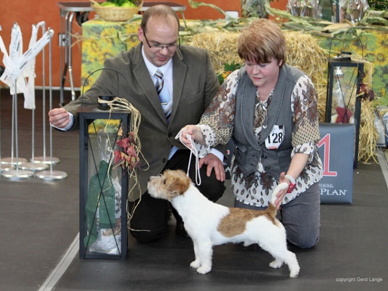 Liebenscheid BOB bester der Gruppe 1