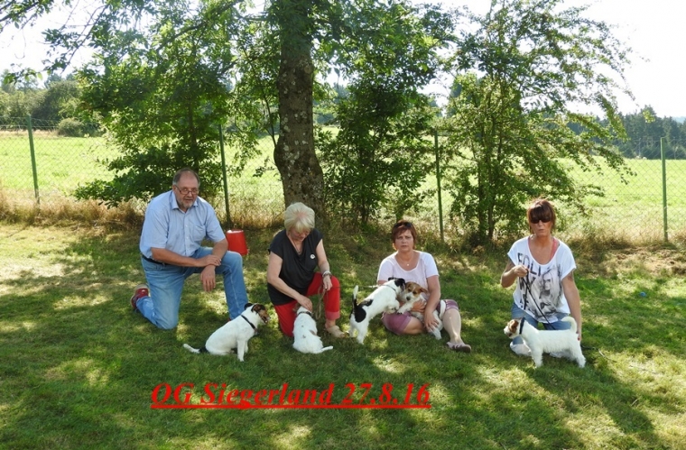 cool group photos of breeders