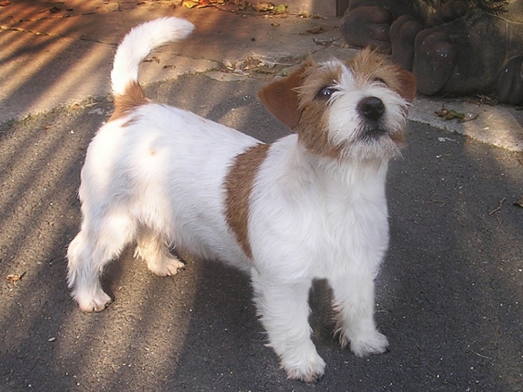 Rheiland Pfalz jgd. Siegerin