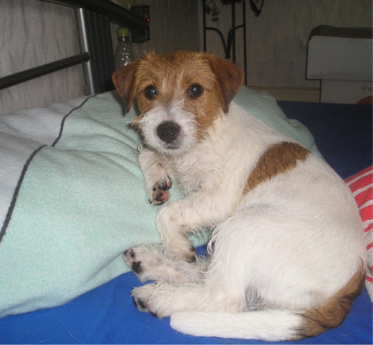 Olga from Celine and Primo