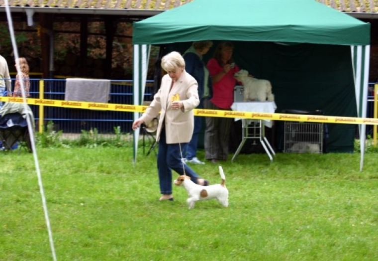 Jack Olga vom Ewaldshof