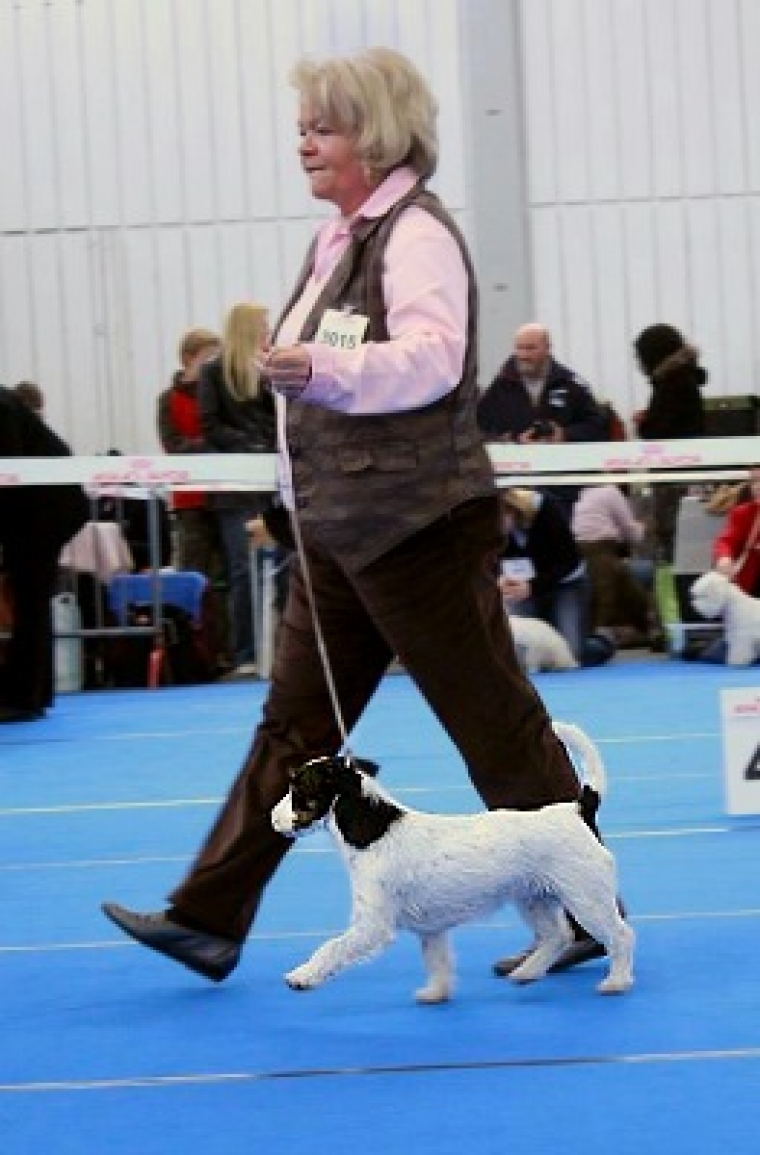 Jack Taggy from Ewaldshof