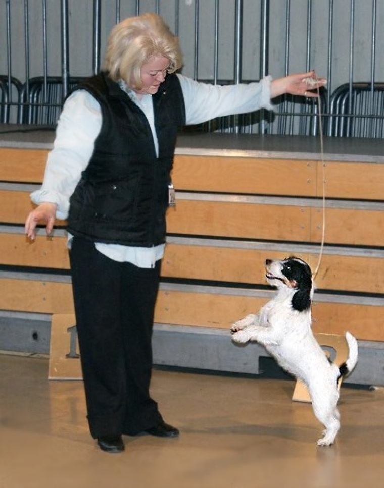 Jack Taggy B0B Kamen Herren