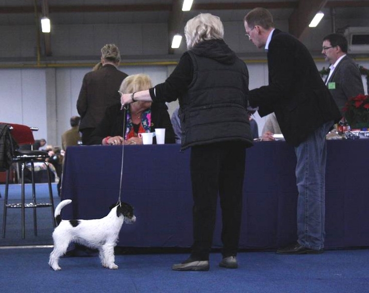 Jack Taggy on Kassel