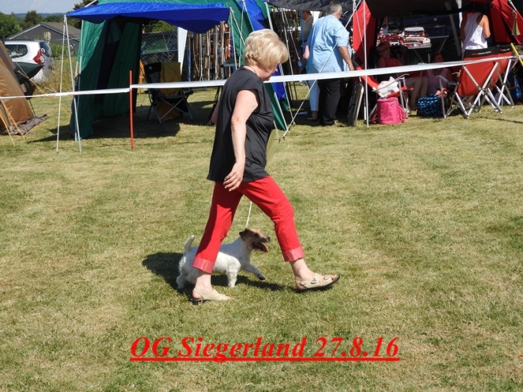 Jack Mandy from Ewaldshof V! CAC-VDH BOB