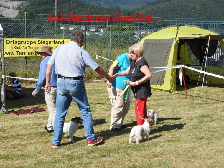 Jack Mandy from Ewaldshof V! CAC-VDH BOB