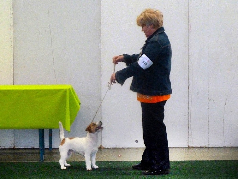 Saarbr&uuml;cken Nationale