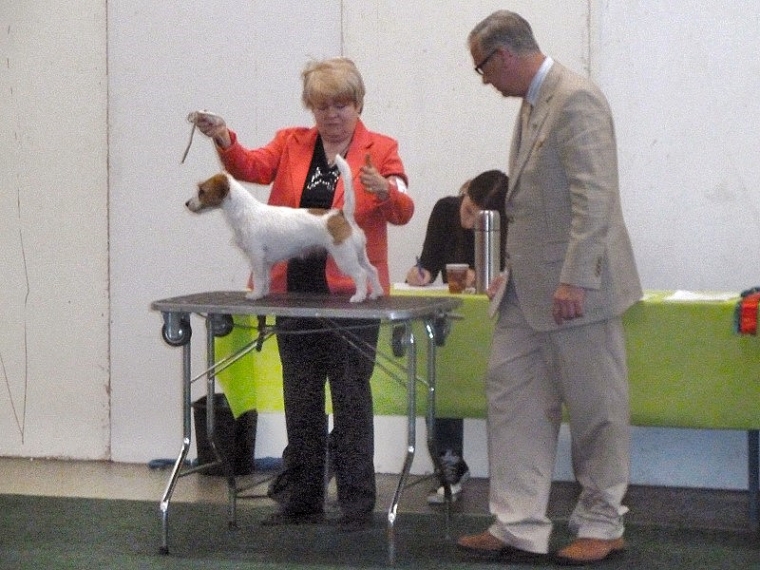 Saarbr&uuml;cken Nationale