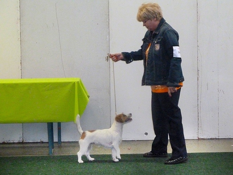 Saarbr&uuml;cken Nationale 2013