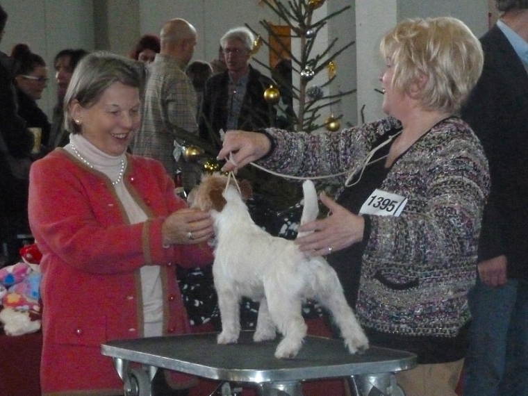 VI CAC/VDH bester JH Kassel CACIB