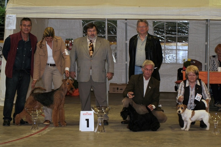 Best in Show 3. Platz