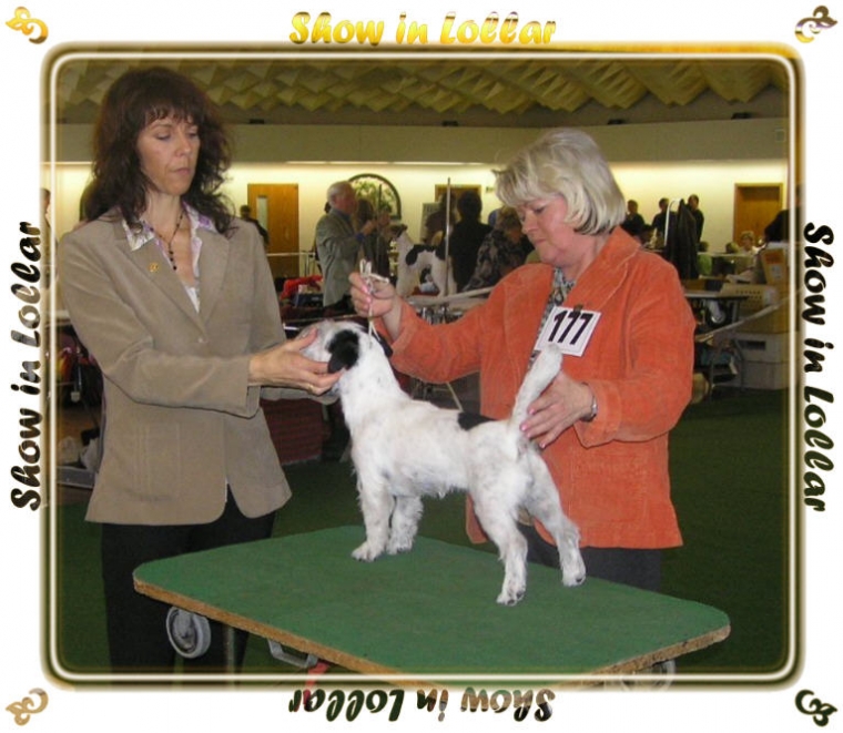 Daisy Duck vom Ewaldshof