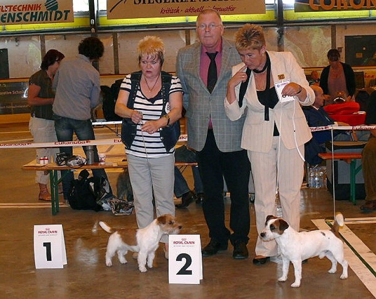 best Dog from Special 2011