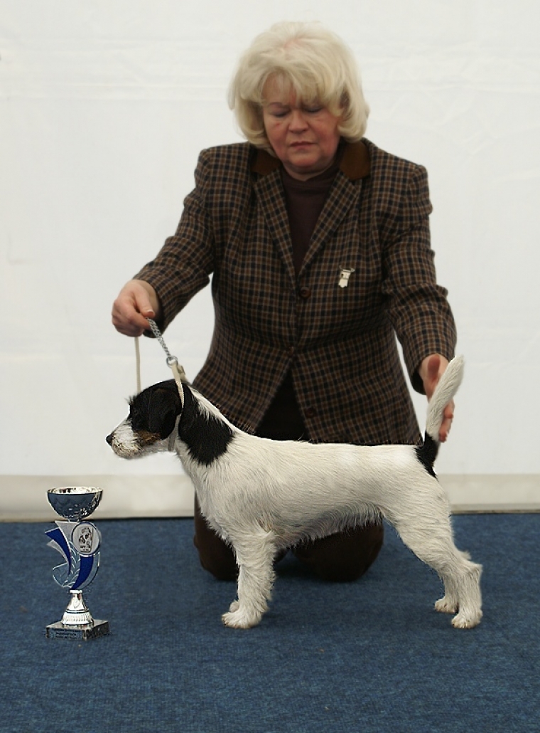 Jack Taggy from Ewaldshof